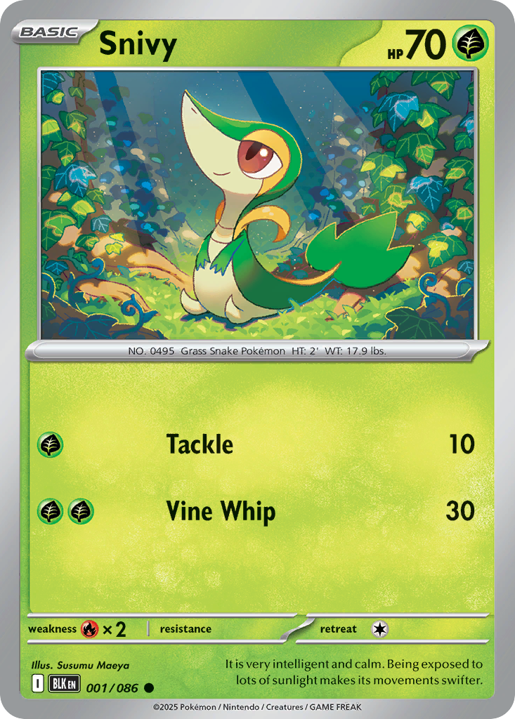 Snivy - 1/86 - Normal - NM - Common - Black Bolt