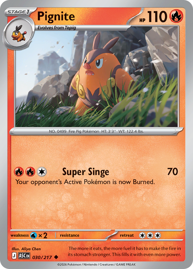 Pignite - 30/217 - Normal - NM - Uncommon - Ascended Heroes