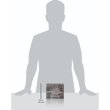 [PREORDER] Pokémon: Mega Evolution—Pitch Black: Elite Trainer Box