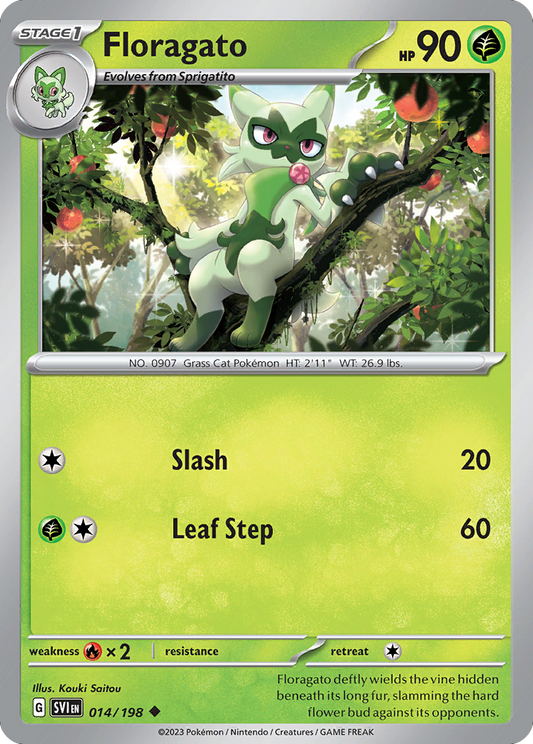 Floragato - 14/198 - Normal - NM - Uncommon - Scarlet & Violet