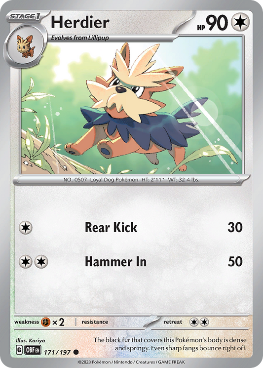 Herdier - 171/197 - Normal - NM - Common - Obsidian Flames