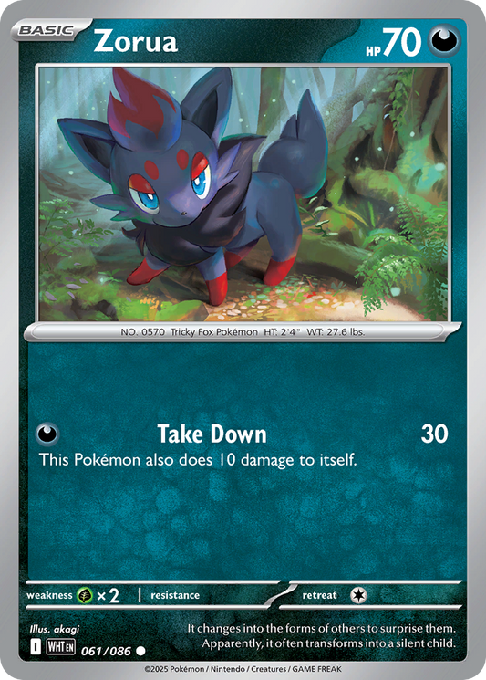 Zorua - 61/86 - Normal - NM - Common - White Flare