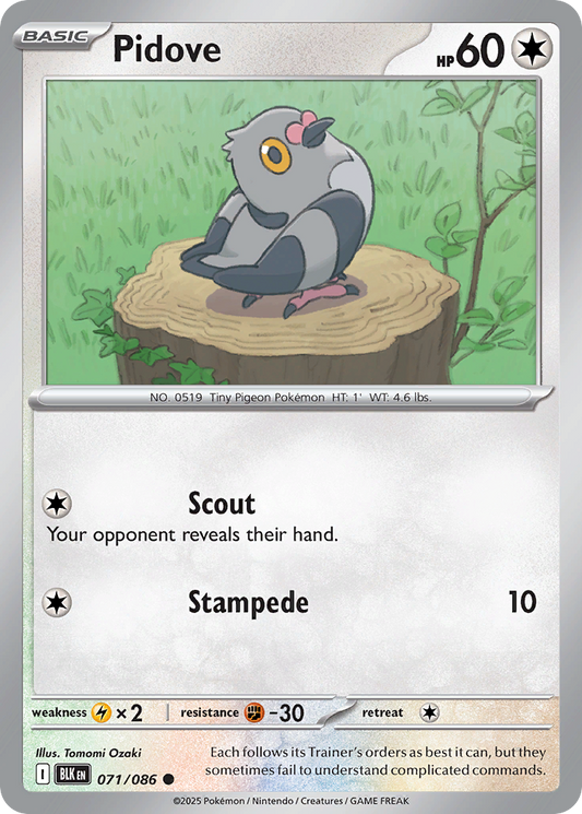 Pidove - 71/86 - Normal - NM - Common - Black Bolt