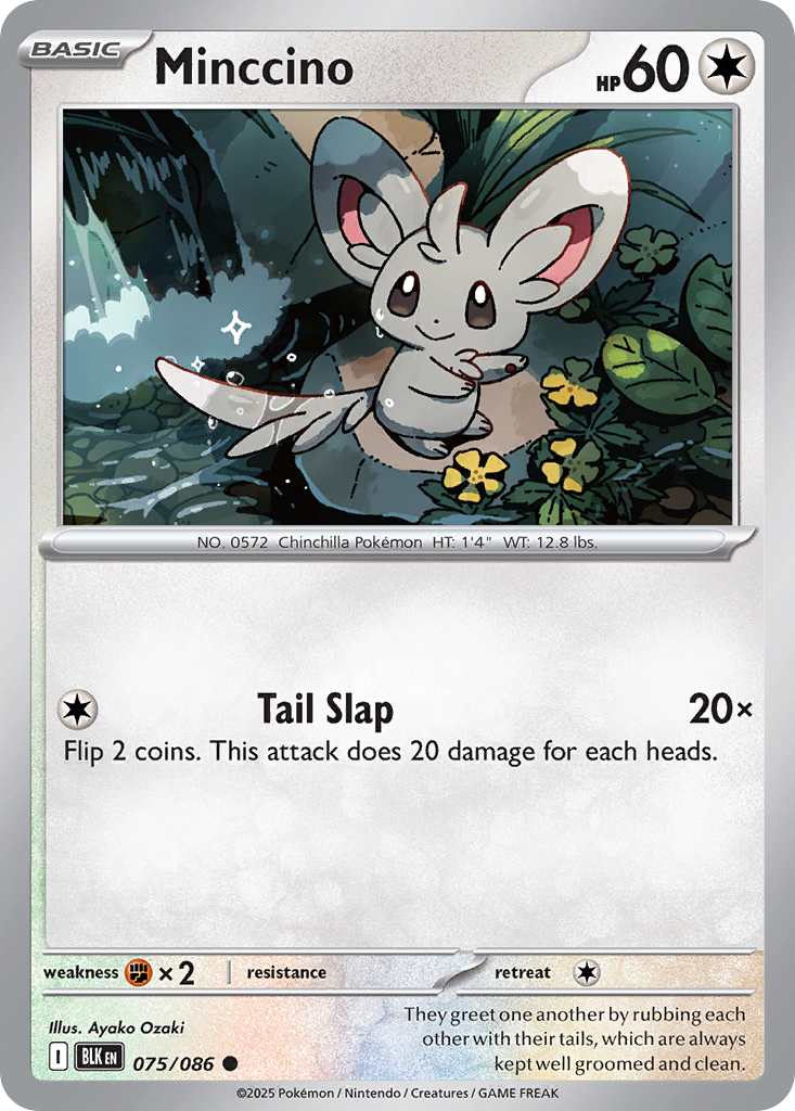 Minccino - 75/86 - Normal - NM - Common - Black Bolt