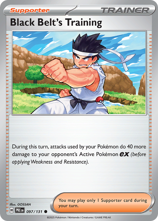 Black Belt's Training - 97/131 - Normal - NM - Common - Prismatic Evolutions