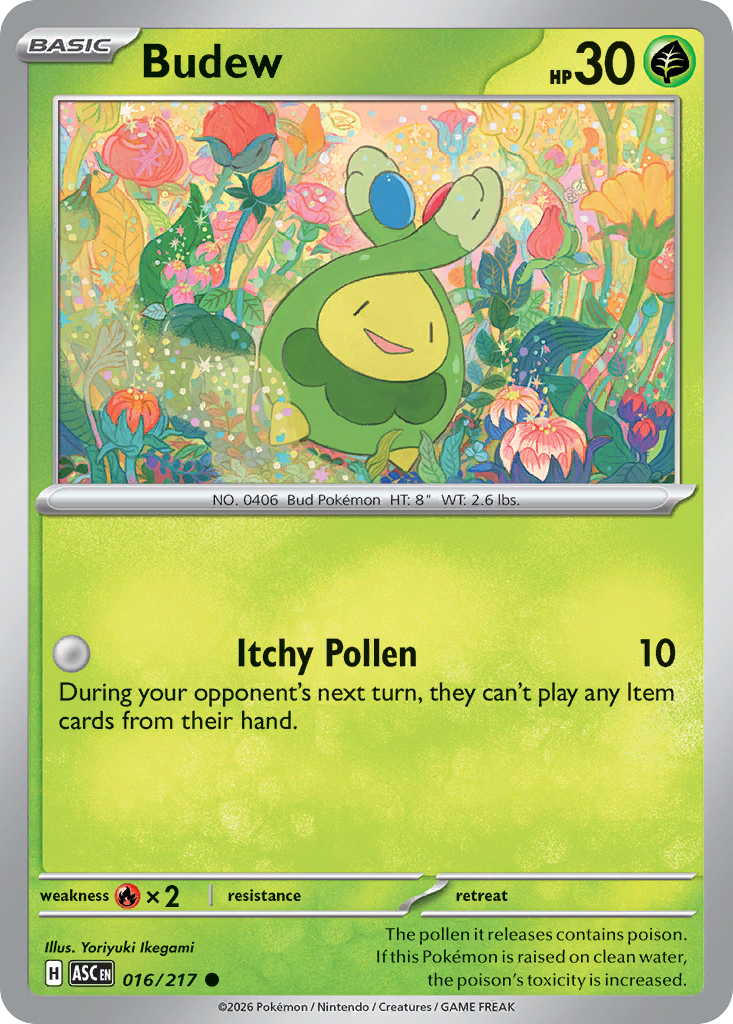 Budew - 16/217 - Normal - NM - Common - Ascended Heroes