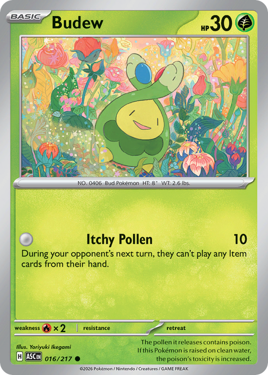 Budew - 16/217 - Normal - NM - Common - Ascended Heroes